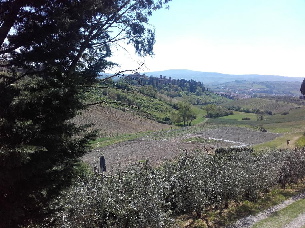 Vila Agriturismo Il Torrione Certaldo Exteriér fotografie