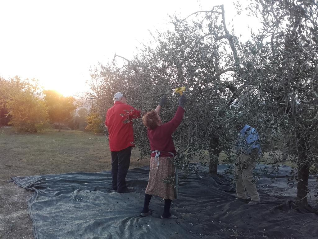 Vila Agriturismo Il Torrione Certaldo Exteriér fotografie