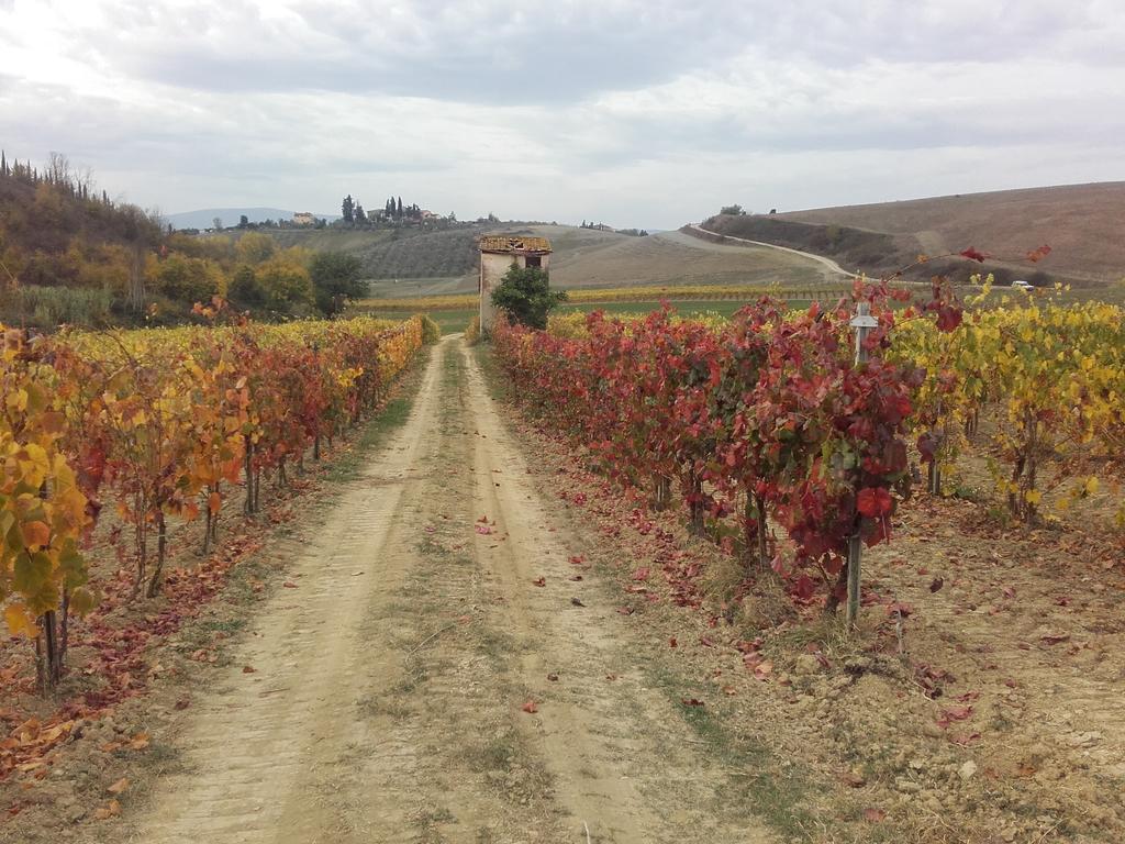 Vila Agriturismo Il Torrione Certaldo Exteriér fotografie