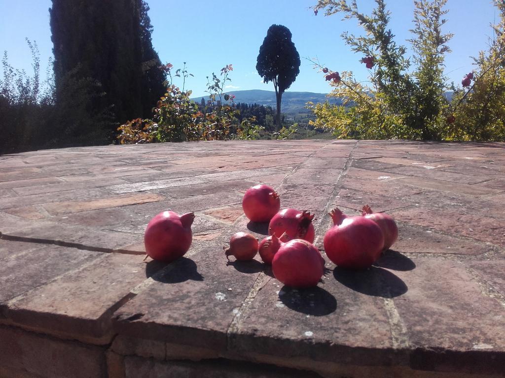 Vila Agriturismo Il Torrione Certaldo Exteriér fotografie