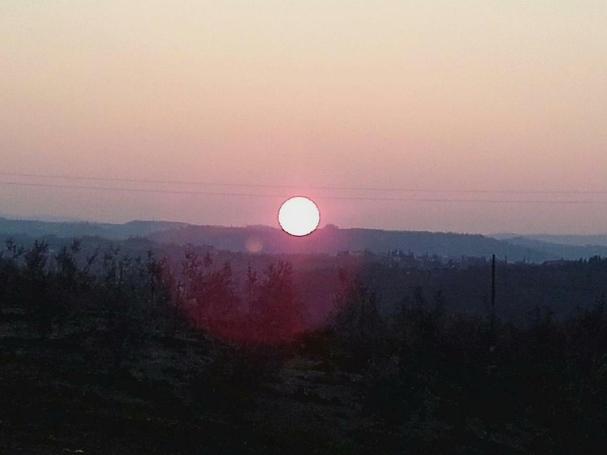 Vila Agriturismo Il Torrione Certaldo Exteriér fotografie