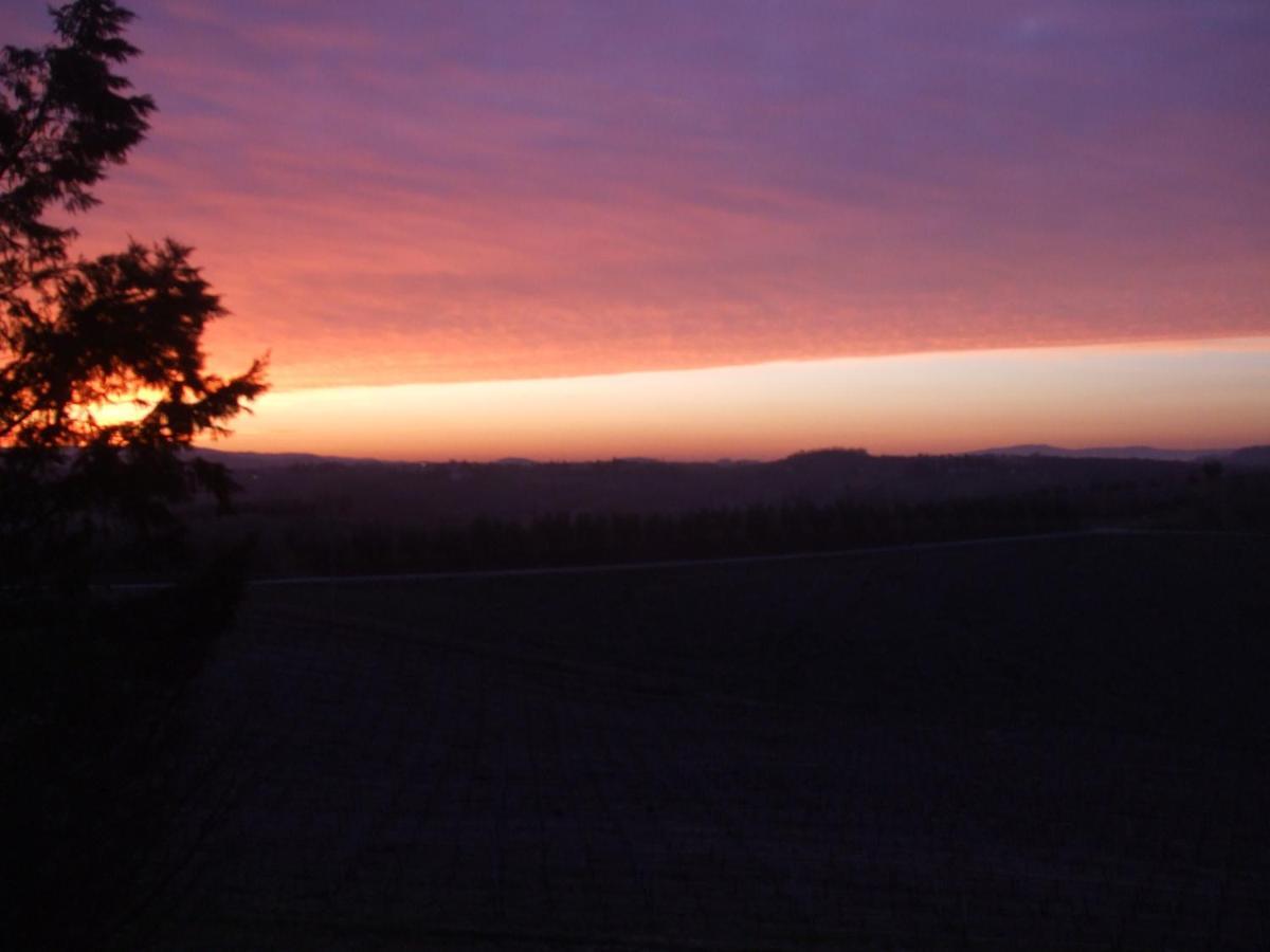 Vila Agriturismo Il Torrione Certaldo Pokoj fotografie